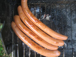 Little wienies on the charcoal barbecue grill