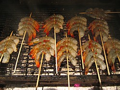 A Typical Aussie Barbecue - Shrimp On The