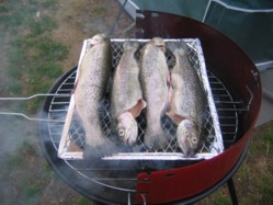 Look at these beautiful trout on the grill Look at these beautiful trout on the grill