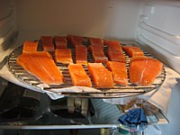 Image Of Salmon Curing In The Refrigerator