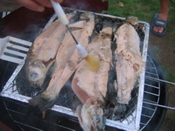 Disposable Charcoal Barbecue Grill Disposable Charcoal Barbecue Grill