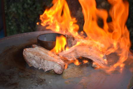 Fire Plate Kamado Cooking