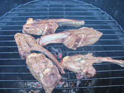 Grilled Lamb Chops Recipe On The Grill