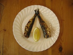 Simple Grilled Sardine