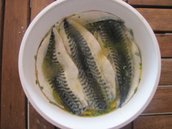 Here's the mackerel in the marinade