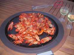 Plancha grilled crayfish