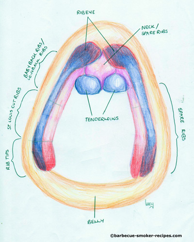 cross sectional view of pork ribs