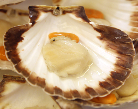 A prepared scallop in it's shell