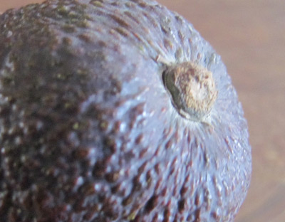 Ripen avocado tip - how to tell when an avocado is ripe