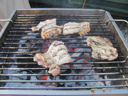 Grilling chicken on the Thuros T2 pedestal grill