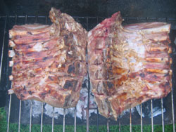 Grilled lamb ribs