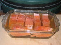 salmon brine