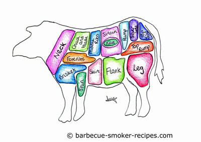 Different cuts of beef and which part of the animal they come from