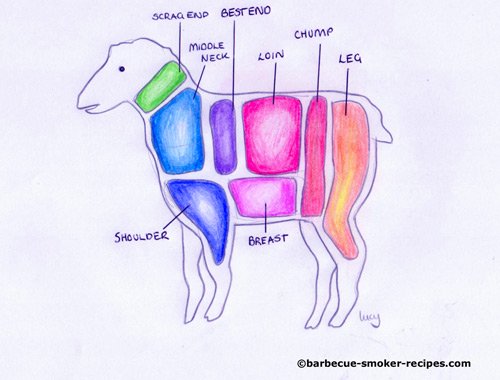 Butchers anatomy of lamb, UK terminology