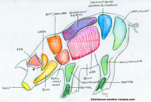 Butchers anatomy of a pig