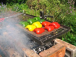 Peppers Roasting For A Barbecue Salad