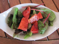 Grilled Watermelon Salad