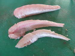 Gurnard Tails Are Easy To Fillet