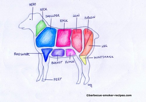 Butchers anatomy of lamb, North American terminology