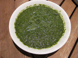 Spicy Mint Coriander Chutney