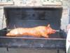 Smoking A Whole Hog